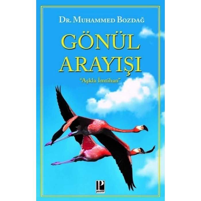 Gönül Arayışı