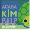 Acaba Kim Bu? – Su Altındaki (Ciltli)