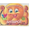 Şekilli Hayvanlar Serisi - Ahtapot