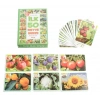 İlk 50 Meyve Sebze Flash Cards