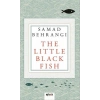 The Little Black Fish