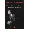 Normal Olacak Kadar Anormal Değilim