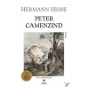 Peter Camenzind