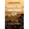 Yaprakların Arasındaki Işık