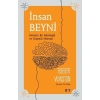 İnsan Beyni