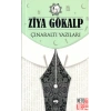 Çınaraltı Yazıları