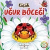 Küçük Uğur Böceği