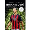 İbrahimovic - Sahanın Yıldızları