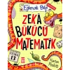 Zeka Bükücü Matematik-Eğlenceli Bilgi Matematik 2