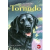 Tornado