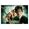 Harry Potter A4 Çıtçıtlı Dosya (Plastik)