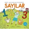 Sayılar