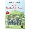 Advin Gümüş Şırtlı Goriller Ülkesinde