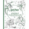 Harry Potter Sihirli Yaratıklar Boyama Kitabı