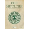 Kelt Mitolojisi