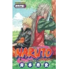 Naruto 42
