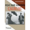 Çalıkuşu - Gençler İçin Türk Klasikleri