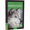 White Fang - Stage 3