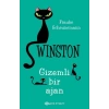Gizemli Bir Ajan - Winston