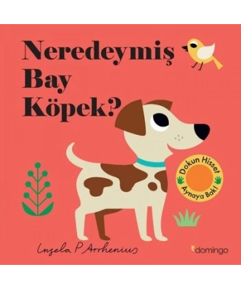 Neredeymiş Bay Köpek? (Dokun, Hisset, Aynaya Bak!)