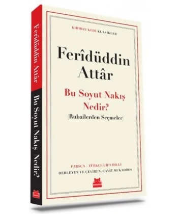 Bu Soyut Nakış Nedir?