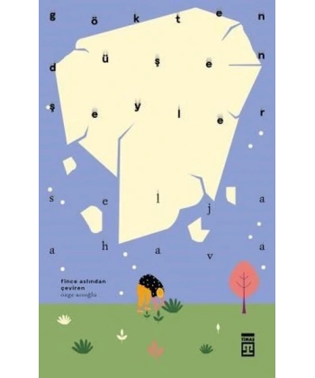 Gökten Düşen Şeyler