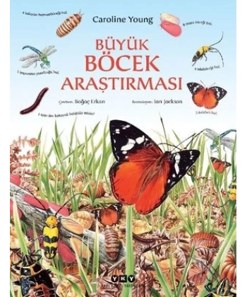 Büyük Böcek Araştırması
