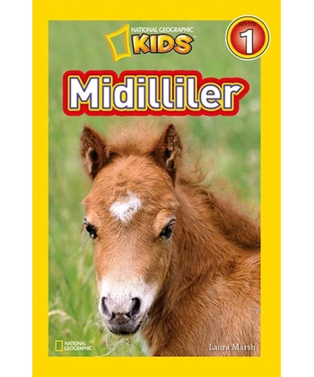 Midilliler