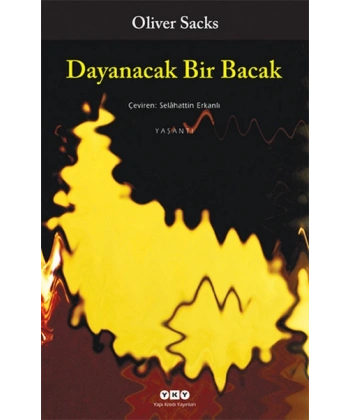 Dayanacak Bir Bacak