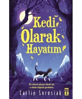 Kedi Olarak Hayatım