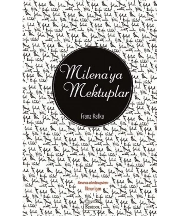 Milenaya Mektuplar(Bez Ciltli)