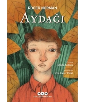 Aydağı