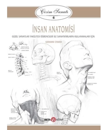 Çizim Sanatı 6 İnsan Anatomisi