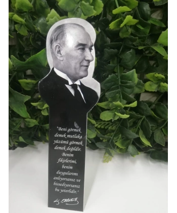 Atatürk Portre Ayraç-Fark