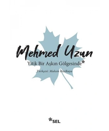 Yitik Bir Aşkın Gölgesinde