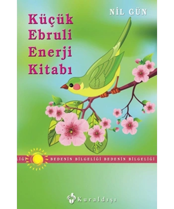 Küçük Ebruli Enerji Kitabı