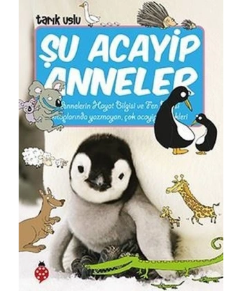 Şu Acayip Anneler
