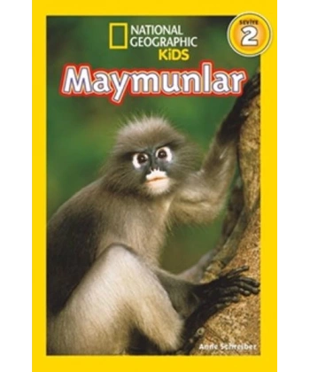 Maymunlar