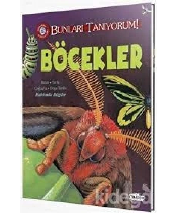 Böcekler - Bunları Tanıyorum!