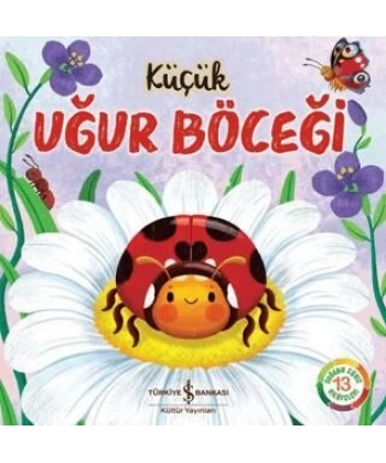 Küçük Uğur Böceği