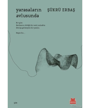 Yarasaların Avlusunda