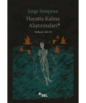 Hayatta Kalma Alıştırmaları