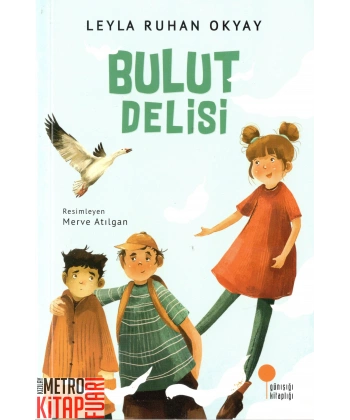 Bulut Delisi