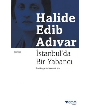 İstanbulda Bir Yabancı