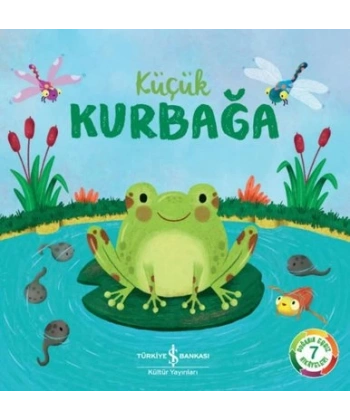 Küçük Kurbağa