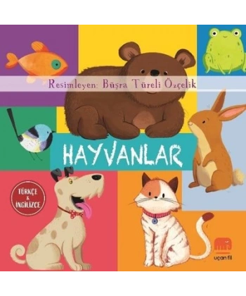 Hayvanlar (Board Book)