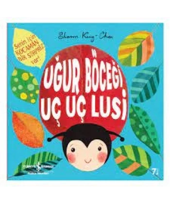 Uğur Böceği Uç Uç Lusi