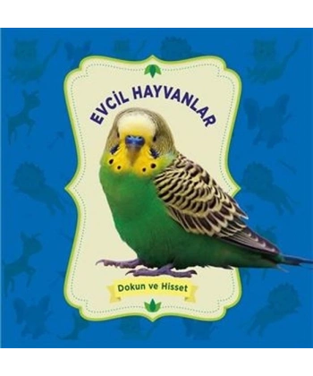 Evcil Hayvanlar - Dokun ve Hisset