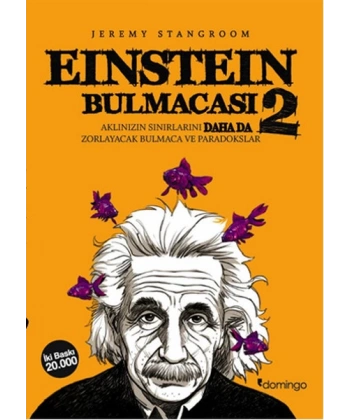 Einstein Bulmacası 2