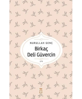 Birkaç Deli Güvercin